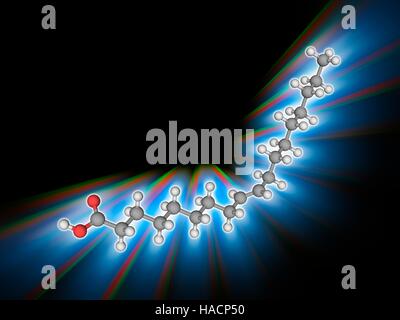 L'acide élaïdique. Le modèle moléculaire des principaux produits chimiques les gras trans de l'acide élaïdique (C18.H34.O2), trouvés dans les huiles végétales hydrogénées. Les atomes sont représentés comme des sphères et sont codés par couleur : carbone (gris), l'hydrogène (blanc) et d'oxygène (rouge). L'illustration. Banque D'Images