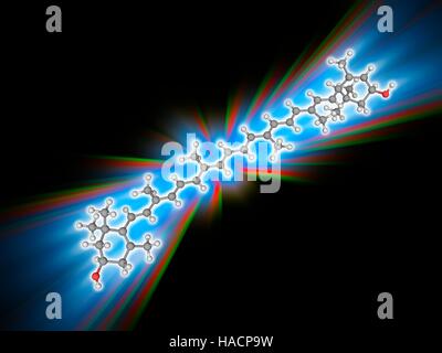 La lutéine. Le modèle moléculaire de la lutéine caroténoïde naturel (C40.H56.O2). Ce produit chimique, trouvés dans les légumes verts, a été utilisé comme un colorant naturel en raison de sa couleur rouge-orange. Les atomes sont représentés comme des sphères et sont codés par couleur : carbone (gris), l'hydrogène (blanc) et d'oxygène (rouge). L'illustration. Banque D'Images