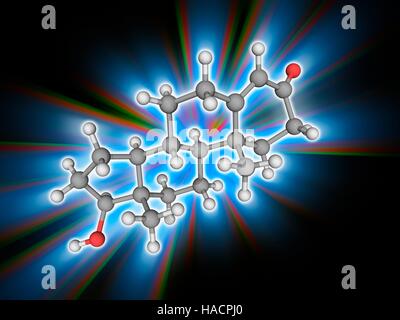 La testostérone. Le modèle moléculaire de la testostérone (hormone stéroïde C19.H28.O2). On trouve dans la plupart des vertébrés, il joue un rôle clé dans le développement de tissus reproducteurs mâles y compris les organes tels que les testicules et la prostate. Les atomes sont représentés comme des sphères et sont codés par couleur : carbone (gris), l'hydrogène (blanc) et d'oxygène (rouge). L'illustration. Banque D'Images