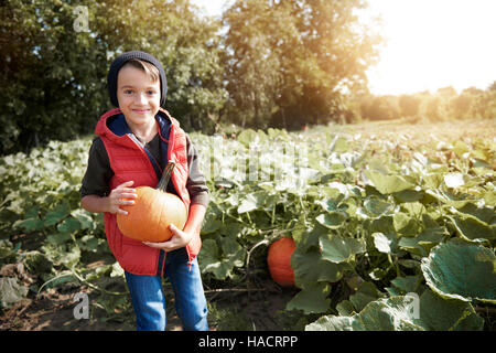 Heureux garçon dans le champ de citrouilles Banque D'Images