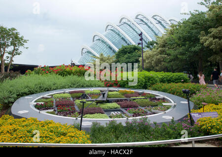 Singapour - 23 juillet 2016 : horloge florale à la mi journée avec un arbre vert et du plafonnier à l'arrière-plan dans les jardins de la baie Banque D'Images