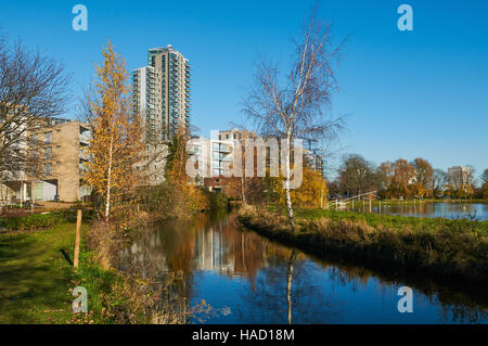 Réserve naturelle des zones humides près de Woodberry Stoke Newington North London UK Banque D'Images