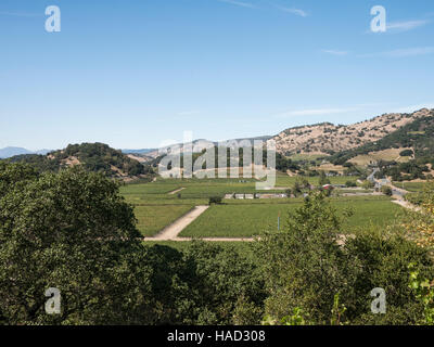 Perché à 300 pieds au-dessus de la ville de Calistoga l'un des domaines viticoles de Napa Valley, Sterling Vineyards, Calistoga, CA Banque D'Images