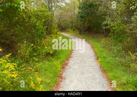 Sentier de randonnée, Trustom Pond National Wildlife Refuge, Rhode Island Banque D'Images