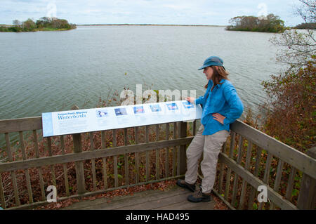 Sur la plate-forme d'observation, Otter Point Trustom Pond National Wildlife Refuge, Rhode Island Banque D'Images