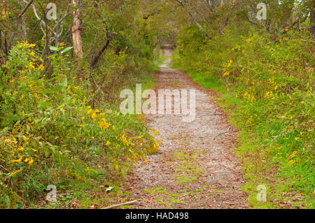 Sentier de randonnée, Trustom Pond National Wildlife Refuge, Rhode Island Banque D'Images