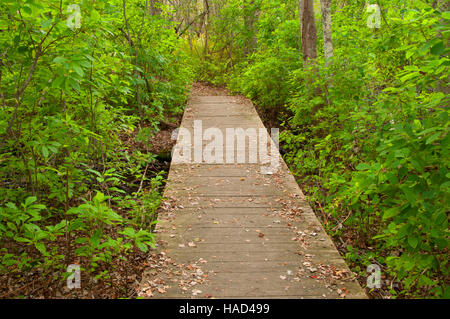 Sentier de randonnée, Trustom Pond National Wildlife Refuge, Rhode Island Banque D'Images