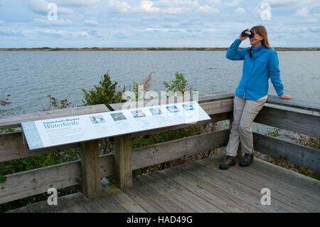 La plate-forme d'observation sur l'Osprey Point, Trustom Pond National Wildlife Refuge, Rhode Island Banque D'Images