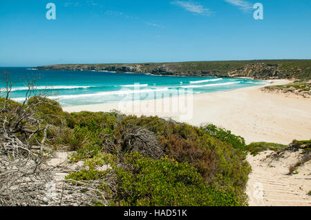 West Bay Beach, Kangaroo Island, Australie du Sud, Australie Banque D'Images