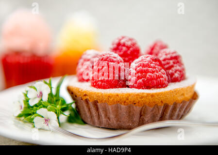 Tarte aux framboises dessert, pâtisserie traditionnelle française Banque D'Images