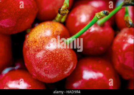 Cerises rouges frais de texture de fond. La cerise, Close up Banque D'Images