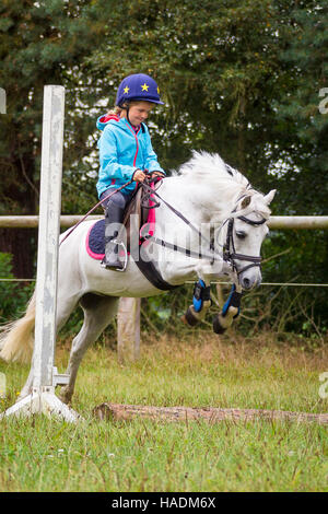 Poney Welsh Mountain, Section A. Fille sur hongre gris effacement d'un obstacle. Allemagne Banque D'Images