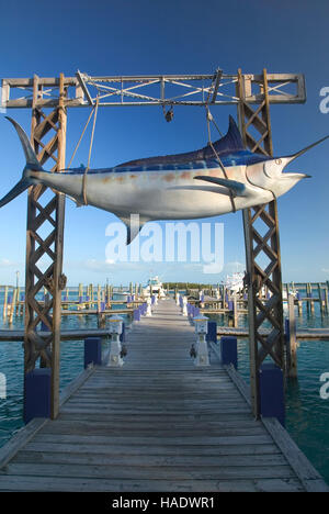 Marlin géant à la marina de Grand Jeu complexe à Alice Town sur la petite île des Caraïbes de Bimini, Bahamas. Banque D'Images