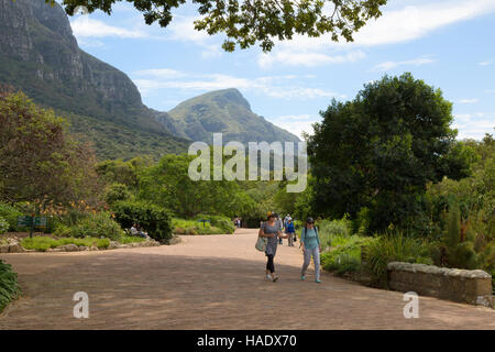 Les gens qui marchent dans les jardins botaniques de Kirstenbosch, Cape Town, Afrique du Sud Banque D'Images