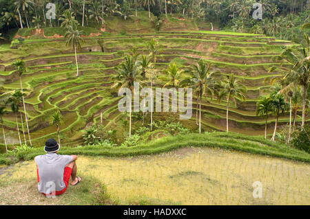L'une des meilleures vues sur les rizières est obtenu à partir d'un point de vue à Tegallalang, 12 km d'Ubud. Bali. Champ de riz situé autour du Kaki Gunung te Banque D'Images