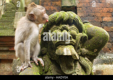 Les singes s'amuser sur les statues de pierre de Sainte hindoue Monkey Forest. Ubud. Bali. Le rire. La forêt des singes d'Ubud est une réserve naturelle et temple complexe i Banque D'Images