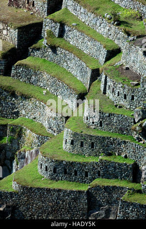 Terrasses de Machu Picchu, au Pérou, en Amérique du Sud Banque D'Images