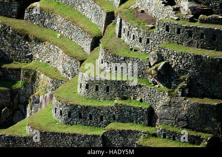 Terrasses de Machu Picchu, au Pérou, en Amérique du Sud Banque D'Images