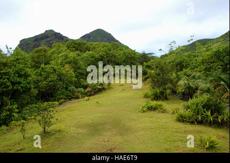 Mare aux Cochons Trail. L'île de Mahé. Le Parc National du Morne Seychellois. Banque D'Images