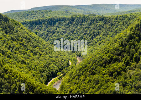 Gorge de Pine Creek Banque D'Images