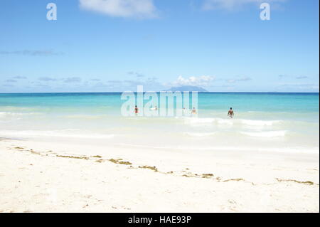 Vacances à la plage aux Seychelles. Anse Beau Vallon beach tropical, l'île de Mahé, Seychelles, Afrique, Océan Indien Banque D'Images