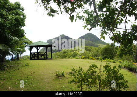 Mare aux Cochons Trail. L'île de Mahé. Le Parc National du Morne Seychellois. Banque D'Images