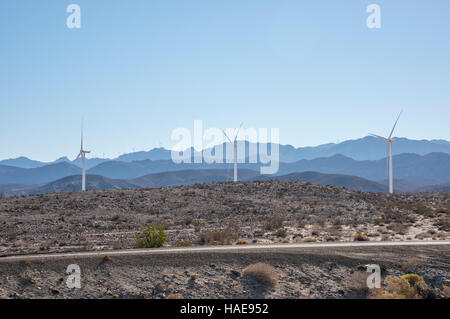 Ocotllo de génération d'électricité éolienne de la ferme éolienne, California USA Banque D'Images