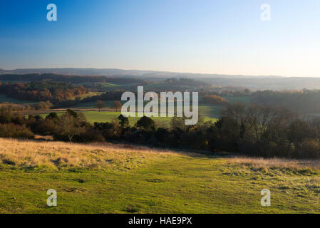 A la fin de l'automne vue vers le sud de l'après-midi au cours de la campagne du Surrey de Newlands Corner Banque D'Images