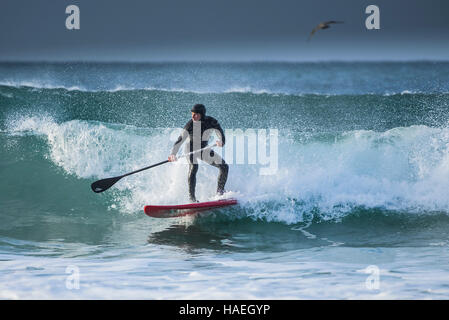 Une pagaie boarder à surfe dans Fistral Newquay, Cornwall. Banque D'Images