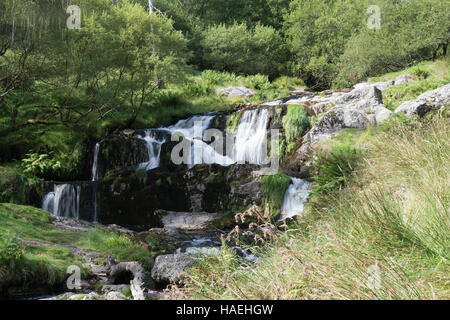 Petite cascade au-dessus de la main falls à Pistyll Rhaeadr Banque D'Images