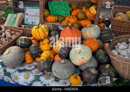 Une variété de citrouilles et courges courges colorés du marché agricole à Édimbourg, Écosse, Royaume-Uni. Banque D'Images