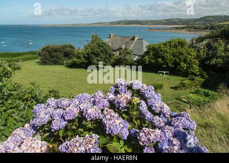 ILLUSTRATION DU COTENTIN (50), Manche, Basse-Normandie, FRANCE Banque D'Images