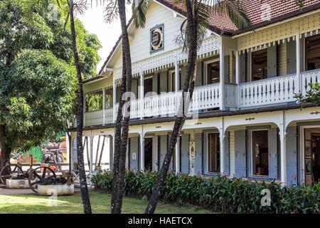 Le rhum ET LA CULTURE DE LA CANNE À SUCRE EN MARTINIQUE, Antilles françaises, FRANCE Banque D'Images