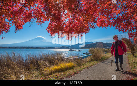 Le LAC KAWAGUCHIKO, JAPON - 24 novembre, 2014 : pêcheur au lac Kawaguchiko avec le Mont Fuji et l'automne feuilles d'érable, Japon Banque D'Images