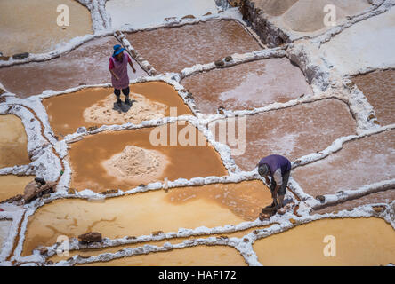 SALINAS DE MARAS, PÉROU - 12 octobre 2015 : Les travailleurs de l'extraction de sel à Salinas de Maras, les mines de sel près de Cusco, Pérou Banque D'Images