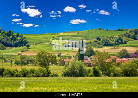 Village idyllique en vert pur, la nature de la région de Zagorje Croatie Banque D'Images