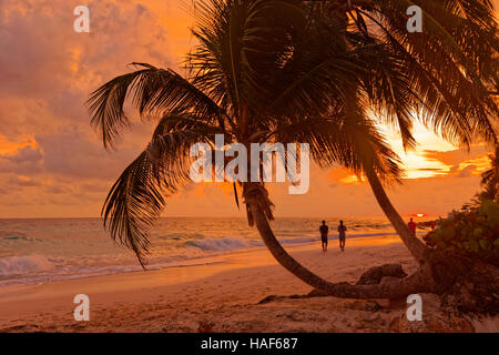 Coucher du soleil à Dover Beach, St Lawrence Gap, Côte Sud, Barbade, Caraïbes. Banque D'Images