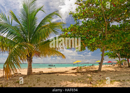 Worthing Beach à Worthing, entre St Lawrence Gap et de Bridgetown, Barbade, Caraïbes. Banque D'Images