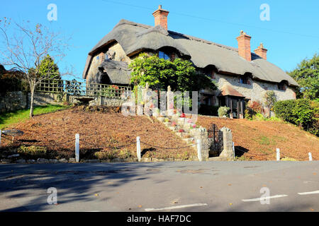 Godshill, île de Wight, au Royaume-Uni. 02 novembre, 2016. Une belle chaumière à Godshill pittoresque sur l'île de Wight. Banque D'Images