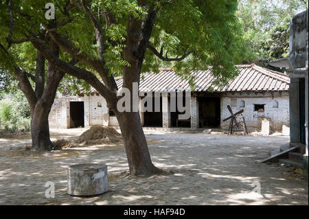 Arbre de neem et Devpur maison de village à jaunpur inde Uttar Pradesh Banque D'Images