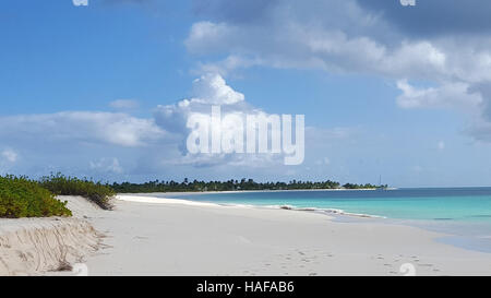 Plage de sable blanc dans un paradis tropical à St John's, Antigua-et-Barbuda. La princesse Diana Beach. Caraïbes Banque D'Images