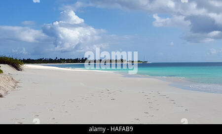 Plage de sable blanc en Caraïbes Banque D'Images