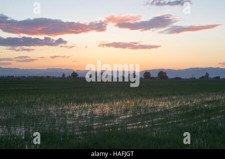 Paysages du Delta de l'Ebre, Espagne au coucher du soleil Banque D'Images