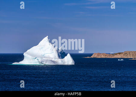 Un iceberg dans les eaux au large de Twillingate, Terre-Neuve et Labrador, Canada. Banque D'Images