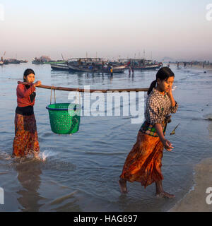 Femme birmane réunissant les nuits à terre des prises à l'aube, près du village de pêcheurs sur la plage de Ngapali en Birmanie (Myanmar). Banque D'Images