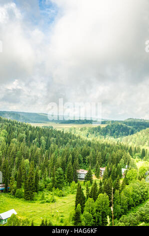 Couvert d'un épais brouillard épais de conifères. forêt avec une vue d'. les conifères, les bosquets de forêt vert couvert d'un épais brouillard. con Banque D'Images