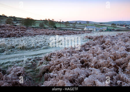 Pays de Galles au début d'hiver météorologique avec des températures en dessous de zéro ce matin, comme on le voit dans le petit village de Rhes-y-cae dans Flintshire, au nord du Pays de Galles. Banque D'Images