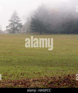 Brentwood, Essex, 1 décembre 2016, matin brumeux dans Weald Park Crédit : Ian Davidson/Alamy Live News Banque D'Images