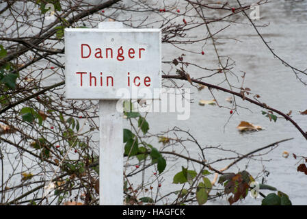 Brentwood, Essex, 1 décembre 2016, matin brumeux dans Weald Park Crédit : Ian Davidson/Alamy Live News Banque D'Images