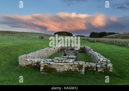 Temple mithraïque à Carrawburgh, mur d'Hadrien, Northumberland Banque D'Images